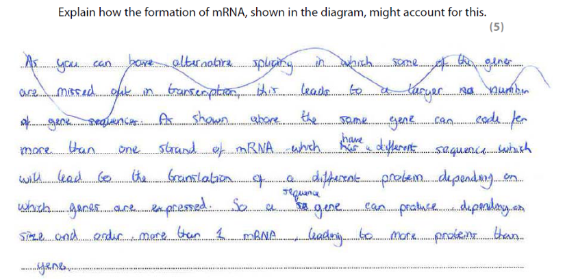 Biology student work example